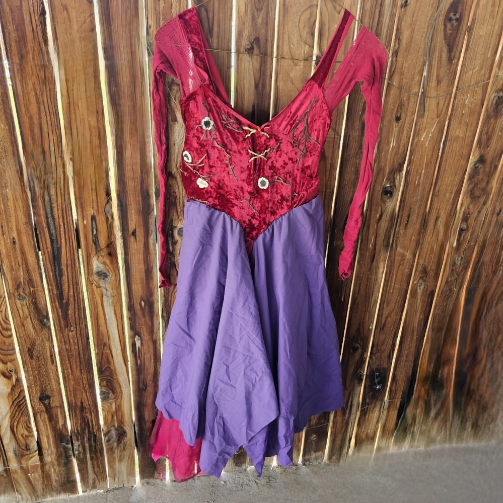 Hocus Pocus Sarah Anderson Hand-Stitched Altered Lyrical Leotard Costume Dress